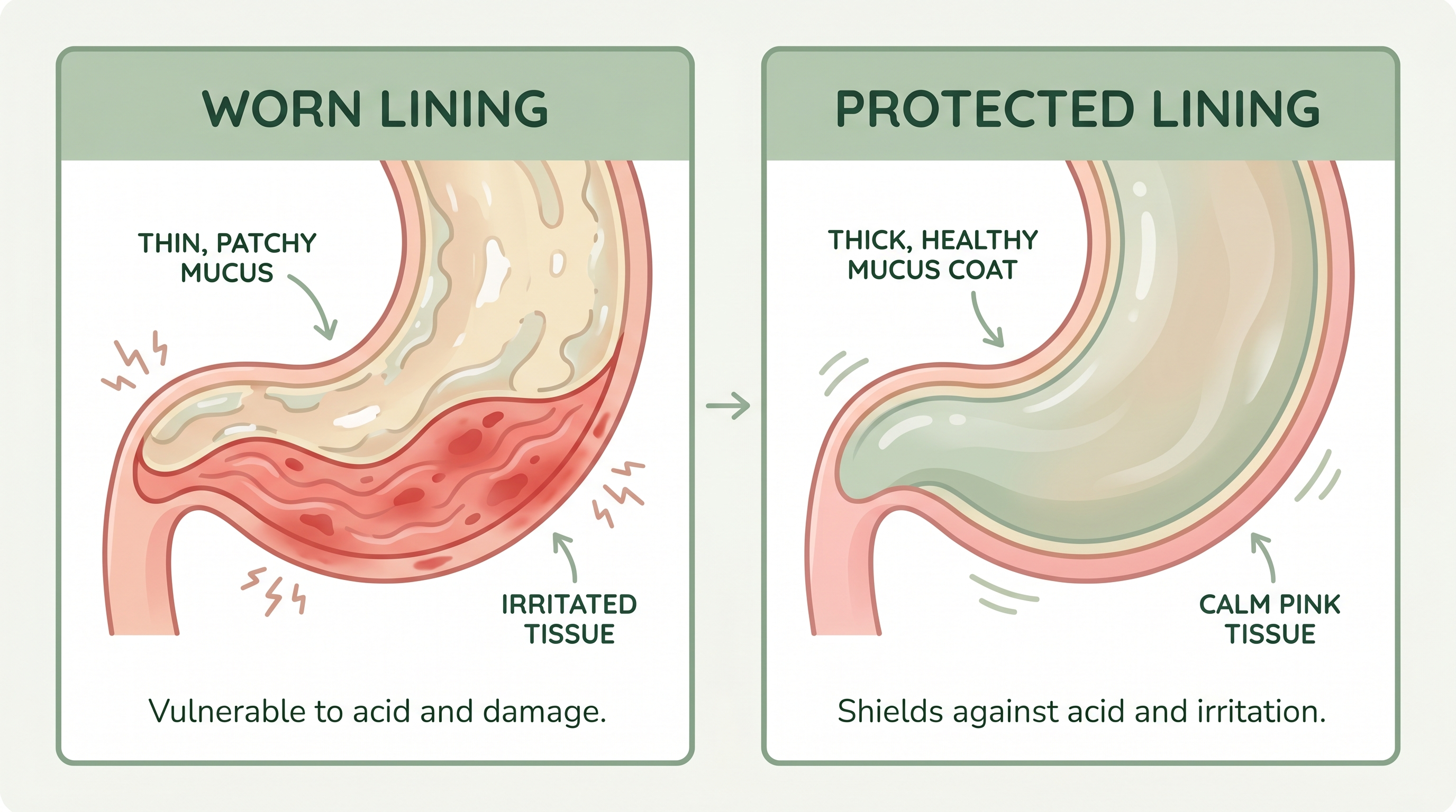 Worn protective lining versus a protected lining