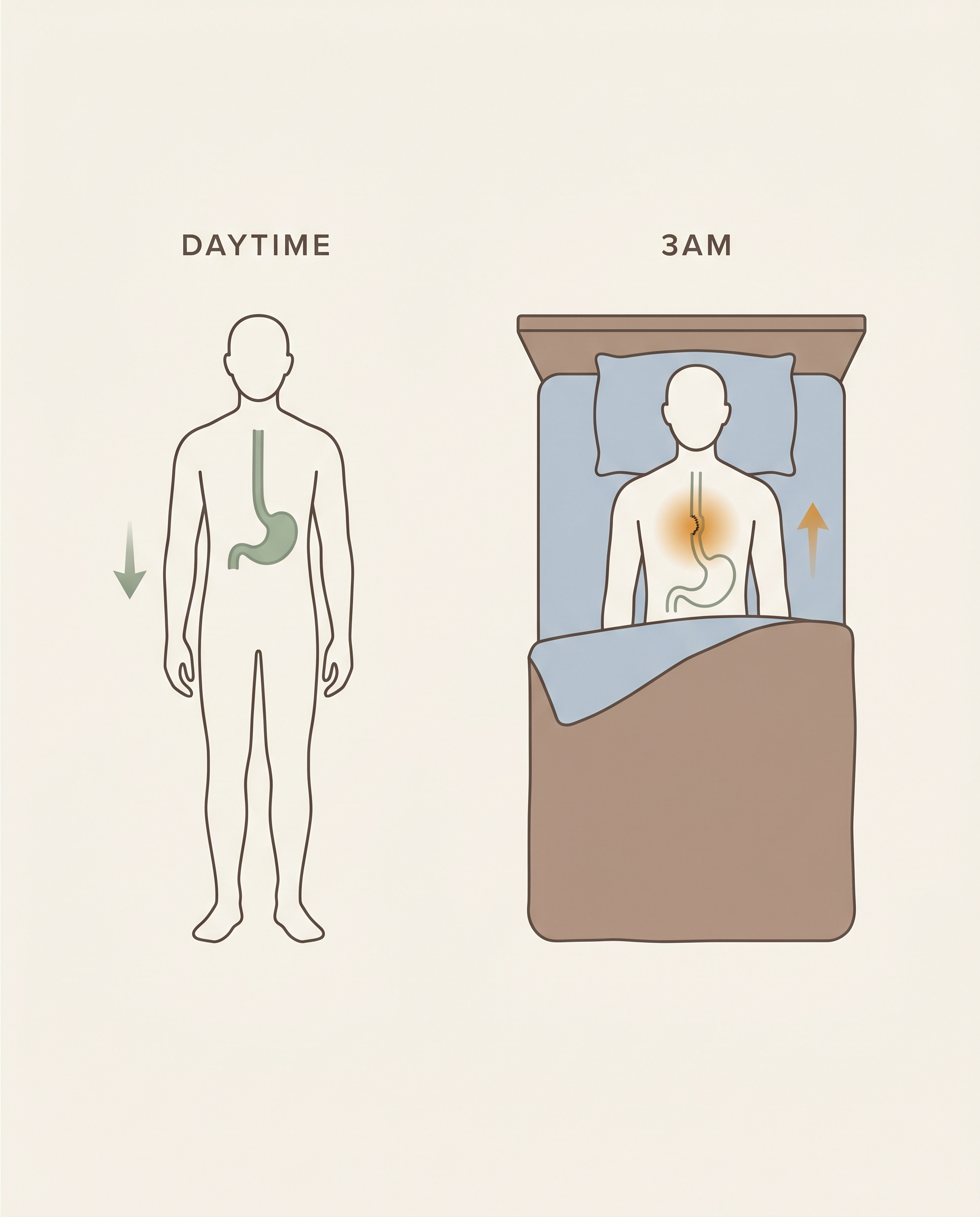 The same worn lining is more exposed lying flat at night than standing up by day